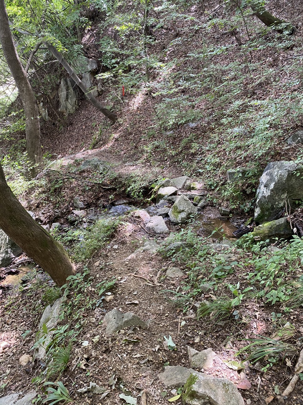 홍길동이 다녀간 3