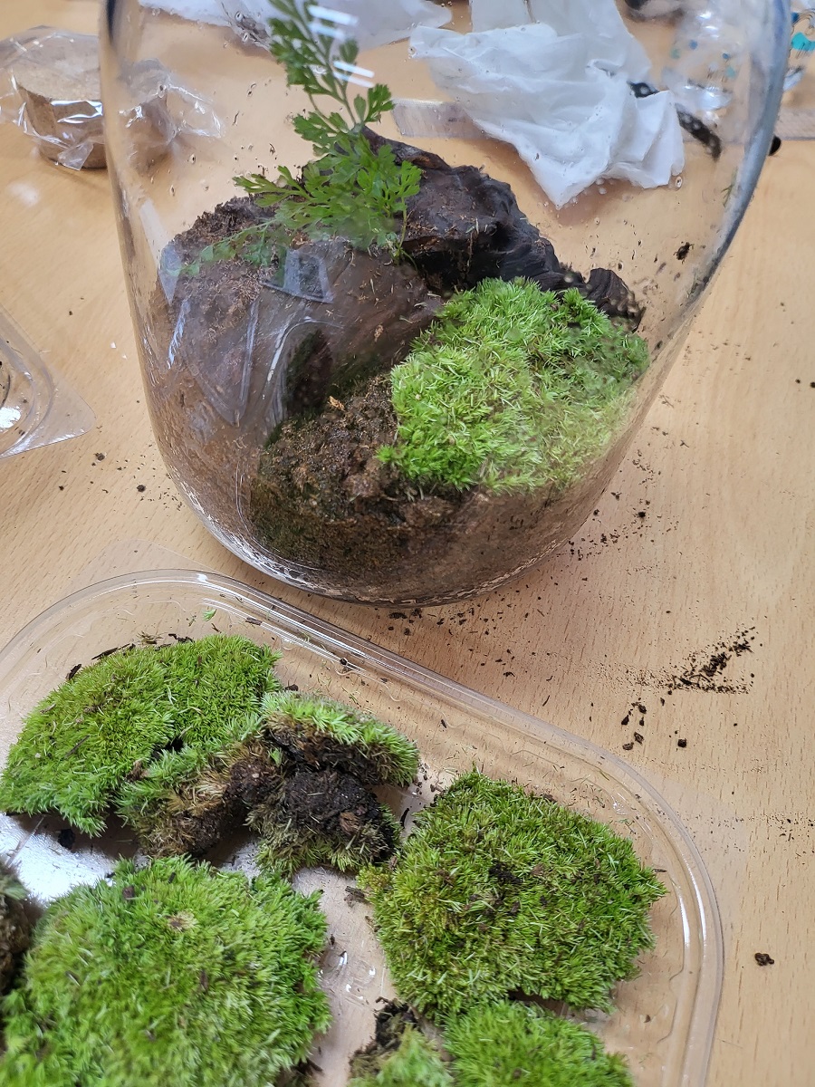 토토로 테라리움 DIY 사진