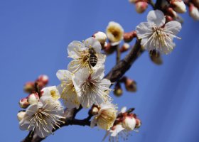 서종주 이미지