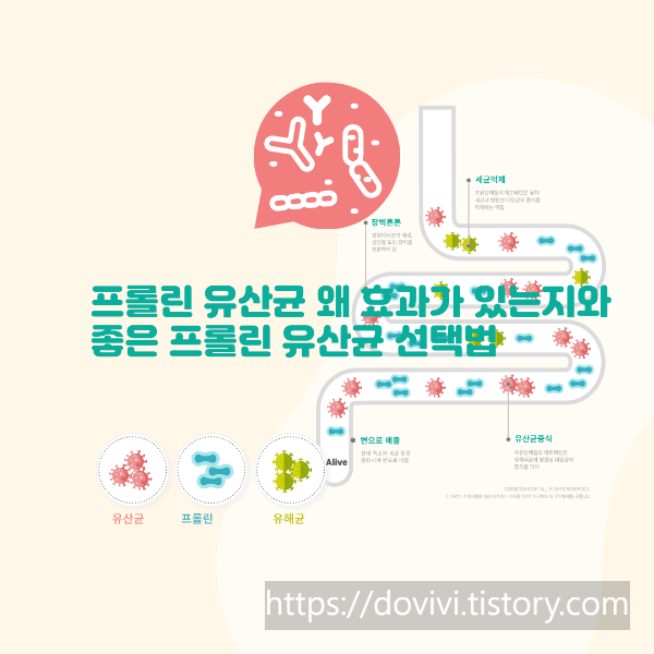  프롤린 유산균 왜 효과가 있는지와 좋은 프롤린 유산균 선택법