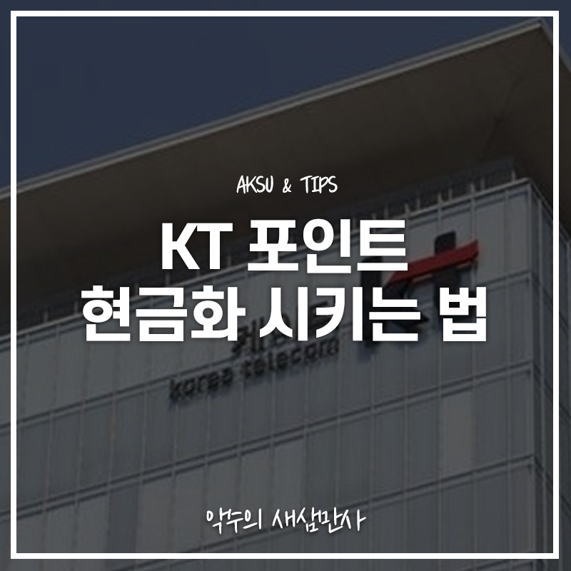  KT포인트 현금화, 어떻게 하면 알뜰하게 포인트를 사용할 수 있을까?