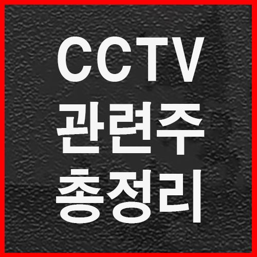  CCTV관련주