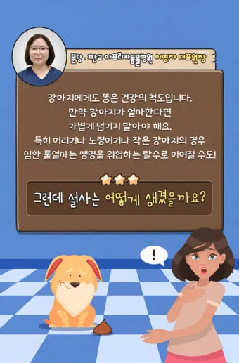 강아지 설사시 원인 대처방법 예방법_10