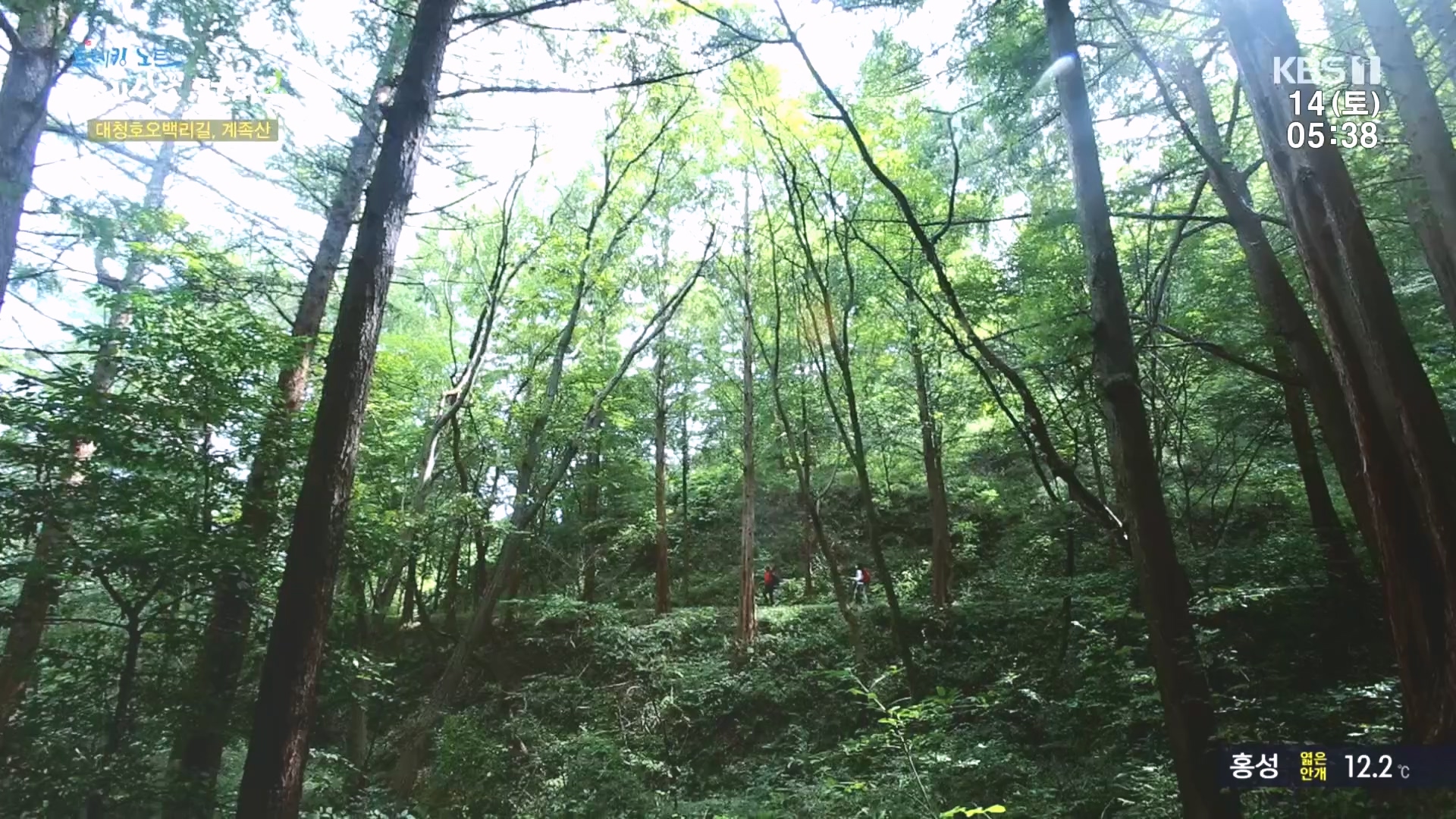 트레킹노트 세상을 걷다.E290.231014p.H264-F1RST.mp4_20231014_181404.841.jpg