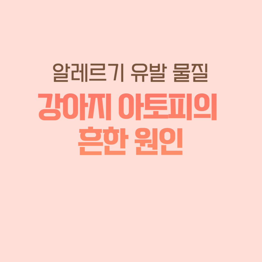 강아지 아토피