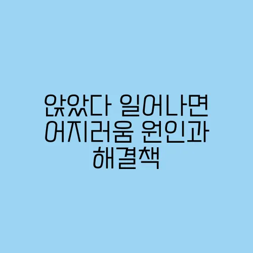 앉았다 일어나면 어지러움 원인과 해결책