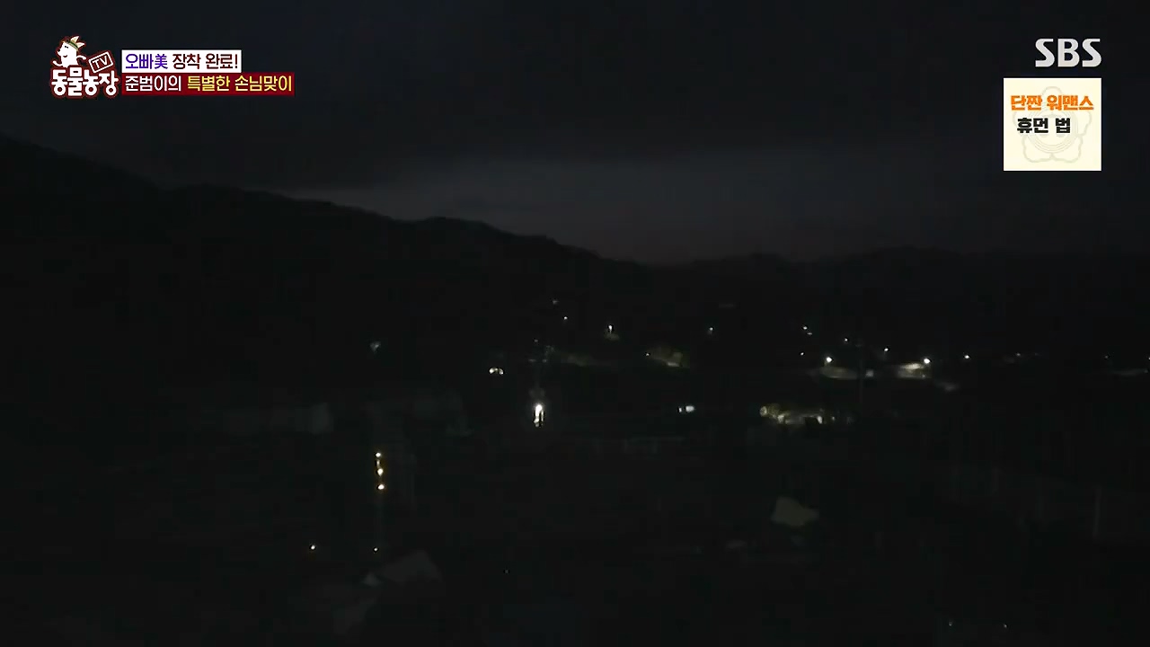 TV 동물농장.E1178.240630.ts_20240630_164644.797.jpg