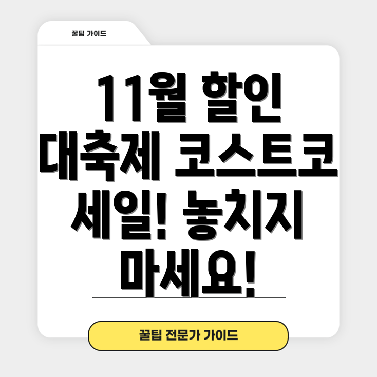 코스트코 11월 세일