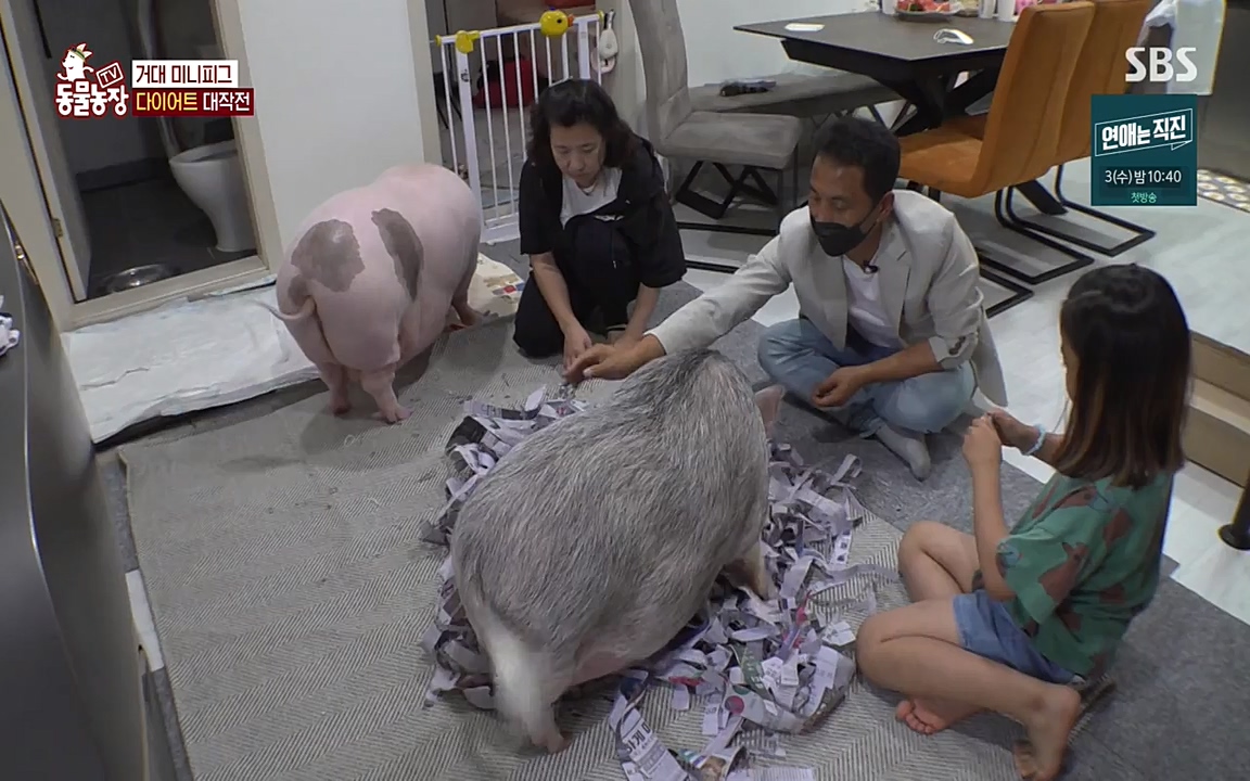 TV 동물농장.E1080.220732p-NEXT.mp4_20220731_174235.619.jpg