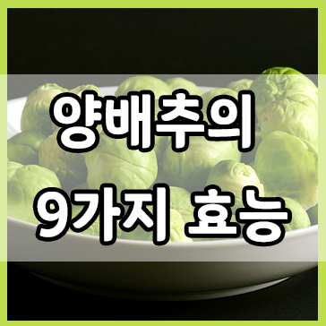  양배추의 9가지 효능