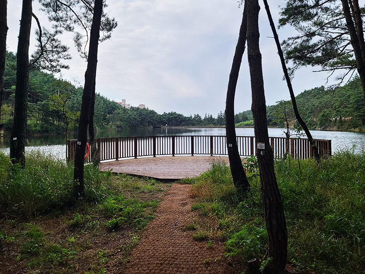 충남 걷기 좋은 숲길 국내여행 걷기 좋은 길, 44