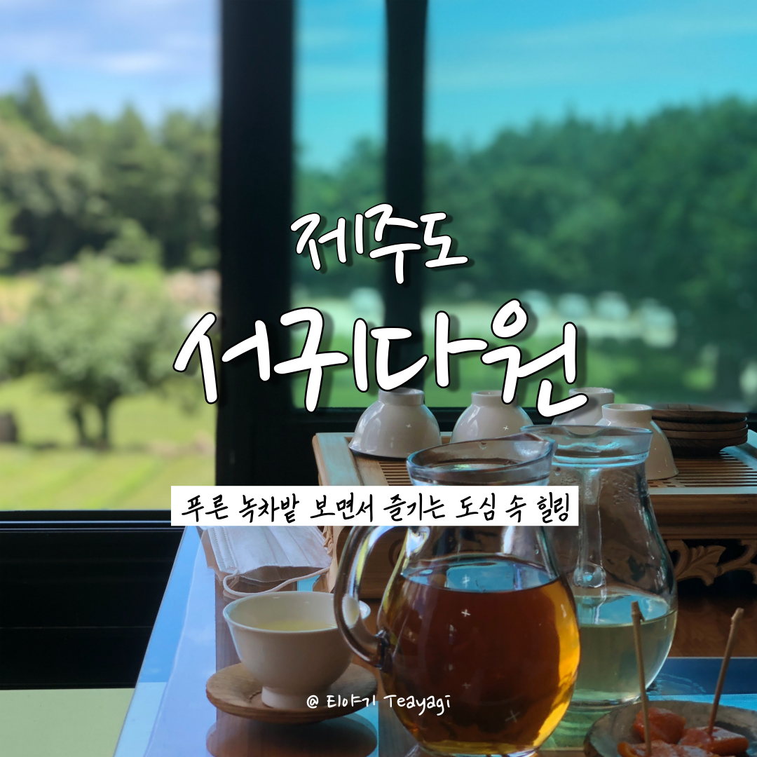  제주 Jeju | 푸른 녹차밭을 보며 즐기는 제주도 힐링 찻집, 서귀다원 (feat. 제주 가볼만한곳, 제주 카페 추천)