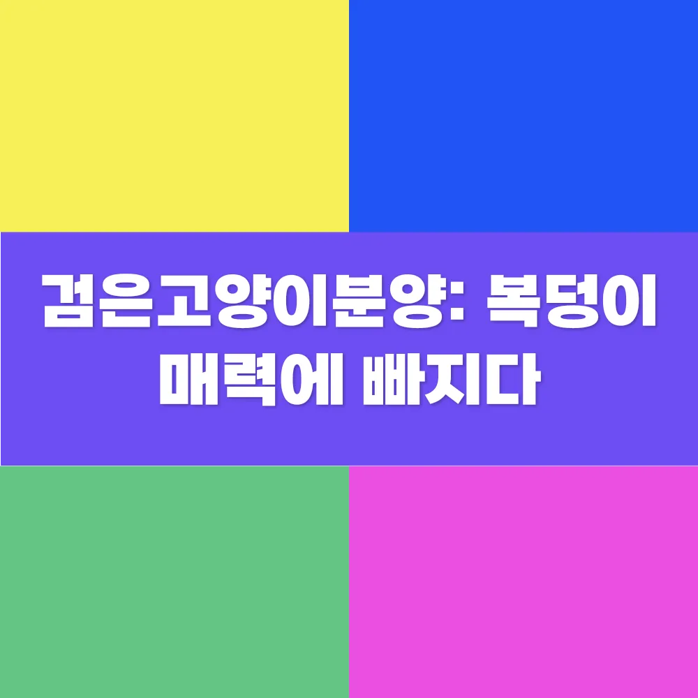 썸네일 이미지