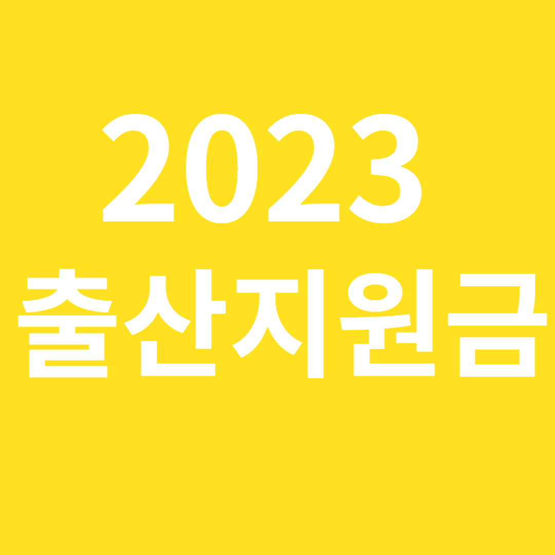 2023 출산지원금