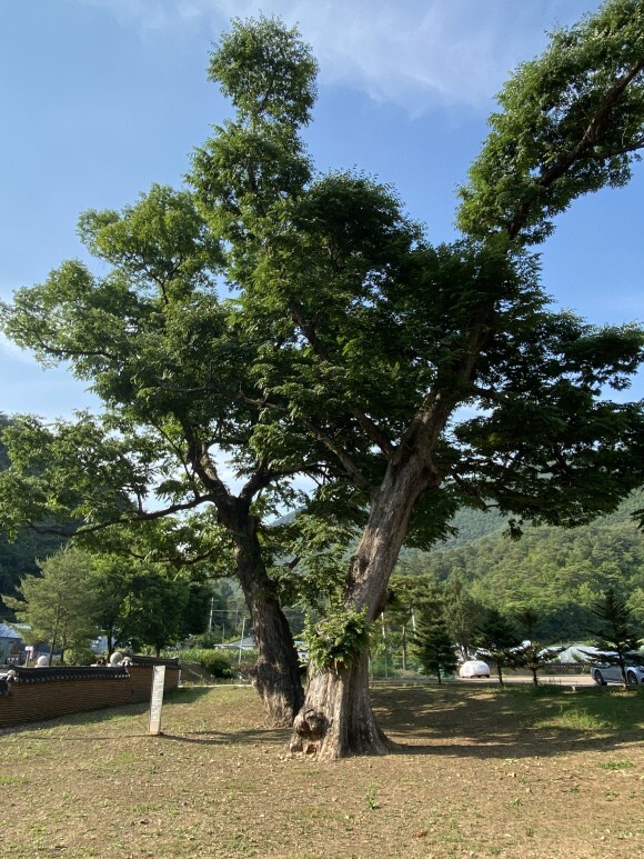 심카페 이미지