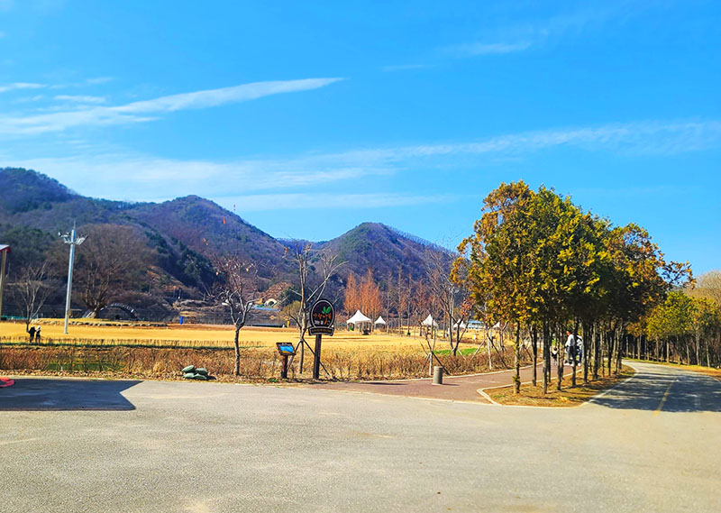 화천 거례리 산천어파크골프장 (산천어파크골프장, 거례리파크골프장, 거례리수목공원 파크골프장) 강원도 화천군 하남면 거례리 473-3번지