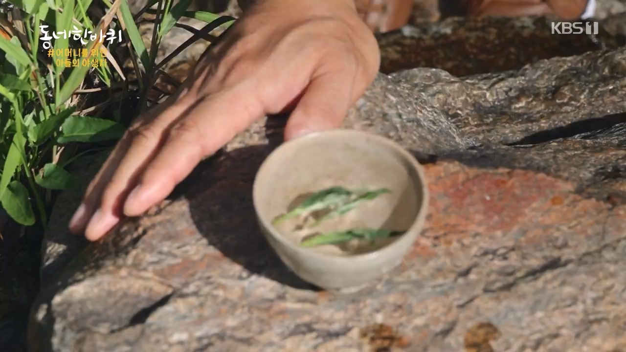 동네 한 바퀴.E241.230924p-NEXT.mp4_20230924_181623.725.jpg