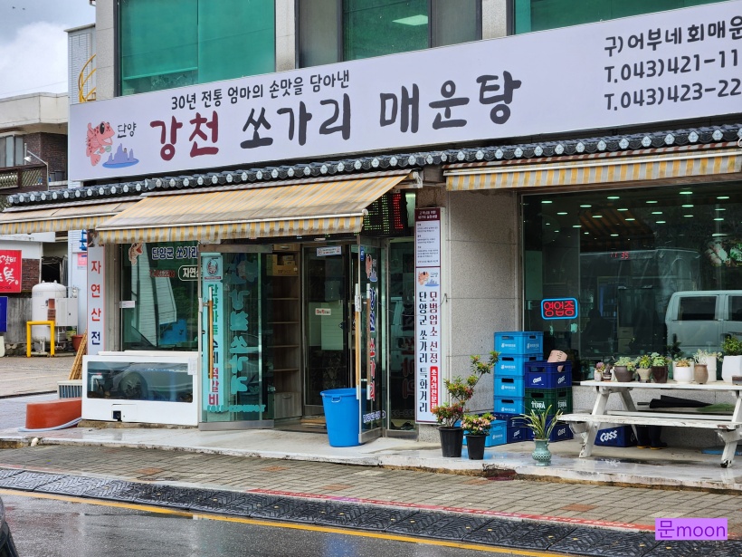 강천쏘가리 이미지