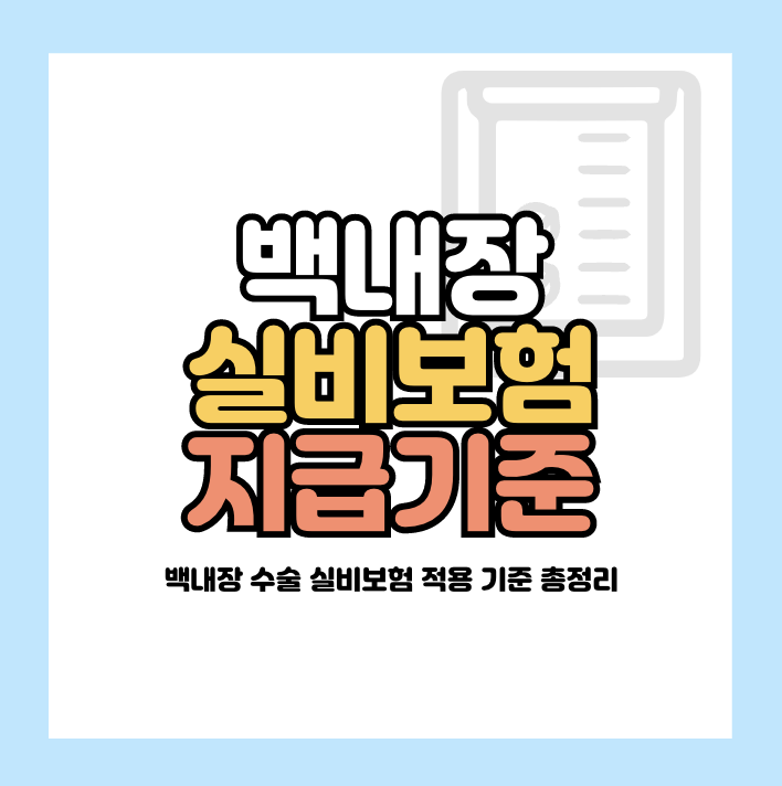 백내장 실비보험 지급기준