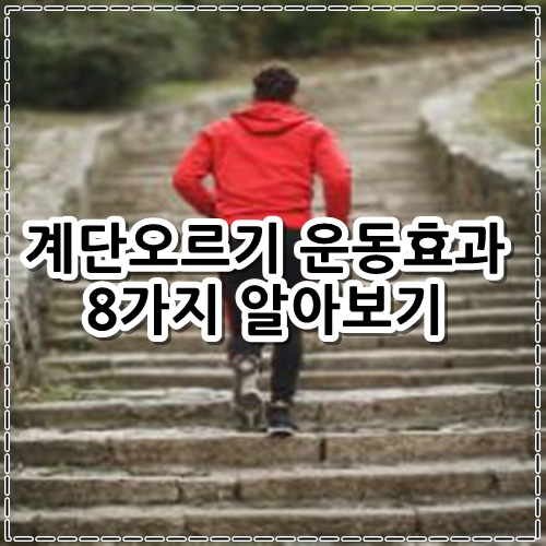 계단오르기 운동효과 8가지 알아보기