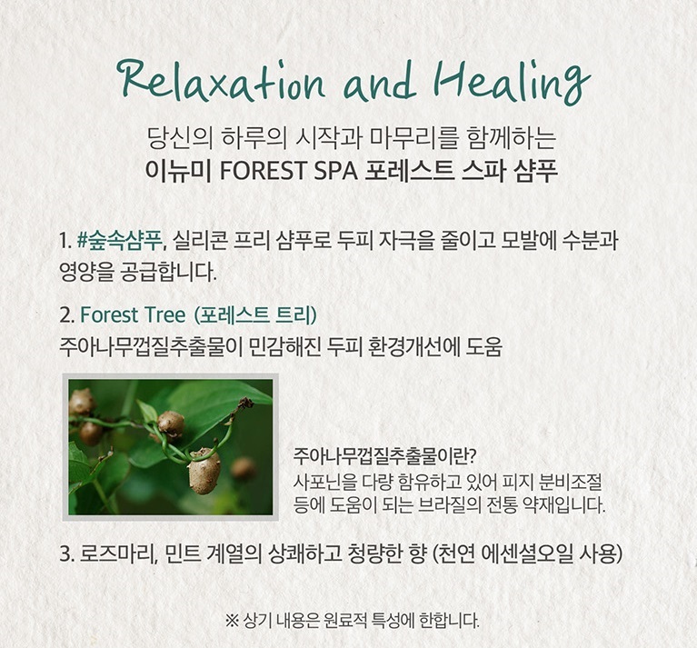 포레스트스파 이미지