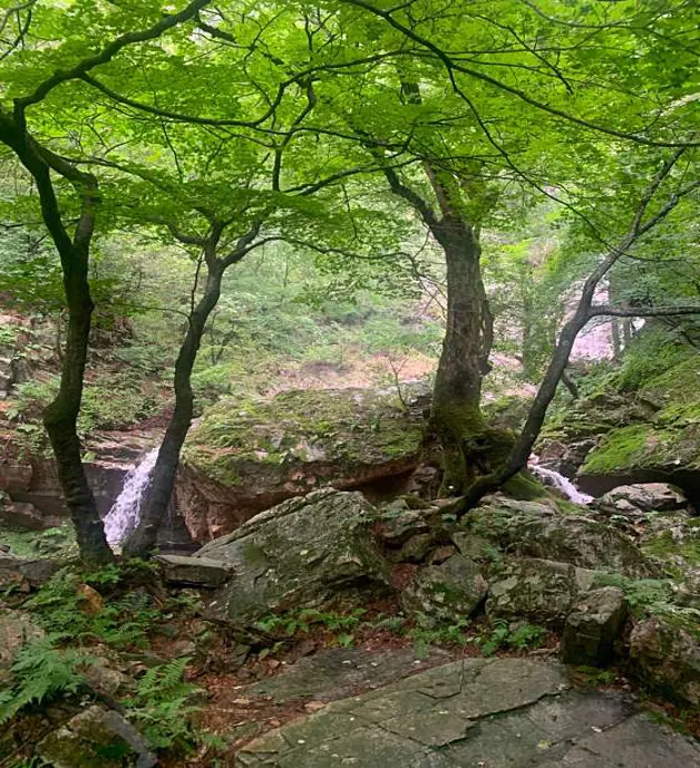 구곡폭포