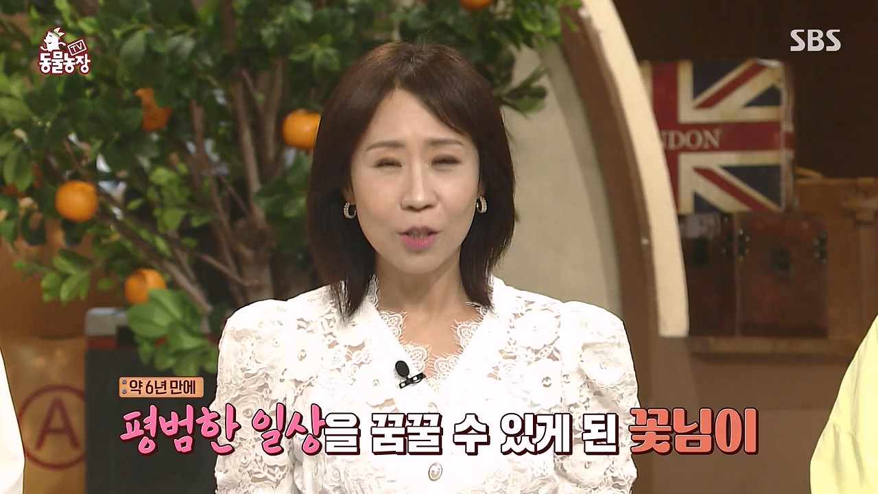 TV 동물농장.E1187.240902p-NEXT.mp4_20240901_155518.799.jpg