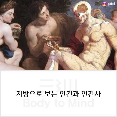  지방(fat)으로 보는 인간과 인간사