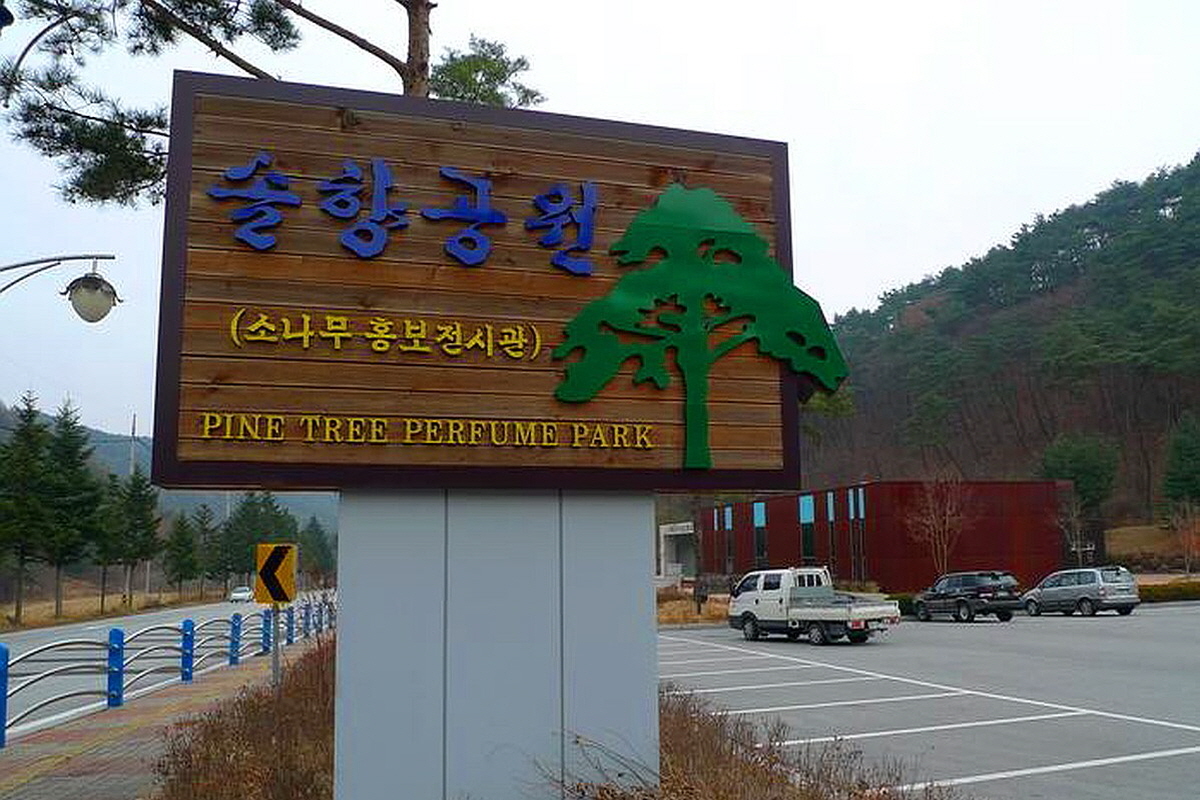 보은 솔향공원