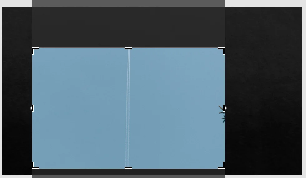 ppt에서 사진을 자르고 채우기를 한 후의 모습