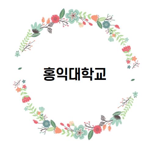  [대학 경쟁력 분석] 홍익대학교 편