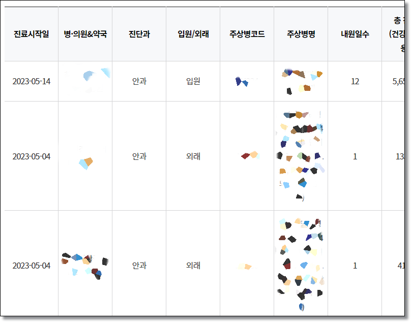 내가-낸-진료비-내가-먹은-약-조회-건강보험심사평가원