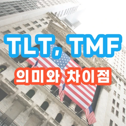 TLT-TMF-의미-차이점