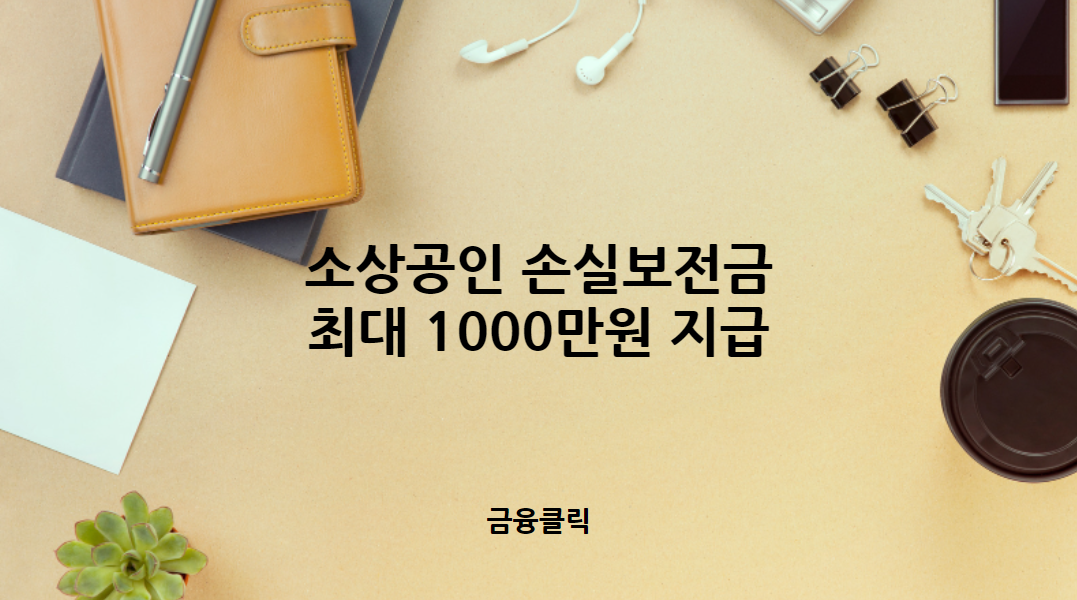 소상공인 손실보전금