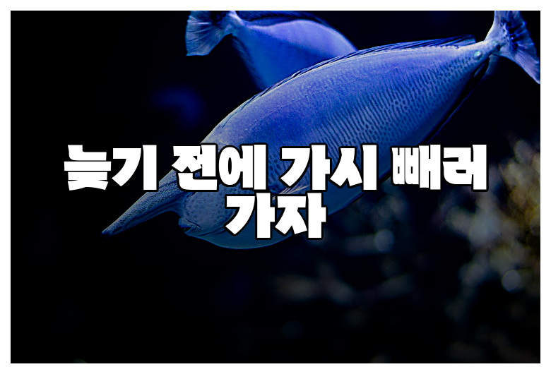늦기 전에 가시 빼러 가자