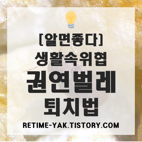  [알면좋다] 생활 속 위협, 권연벌레 퇴치법(원인,예방,물림)