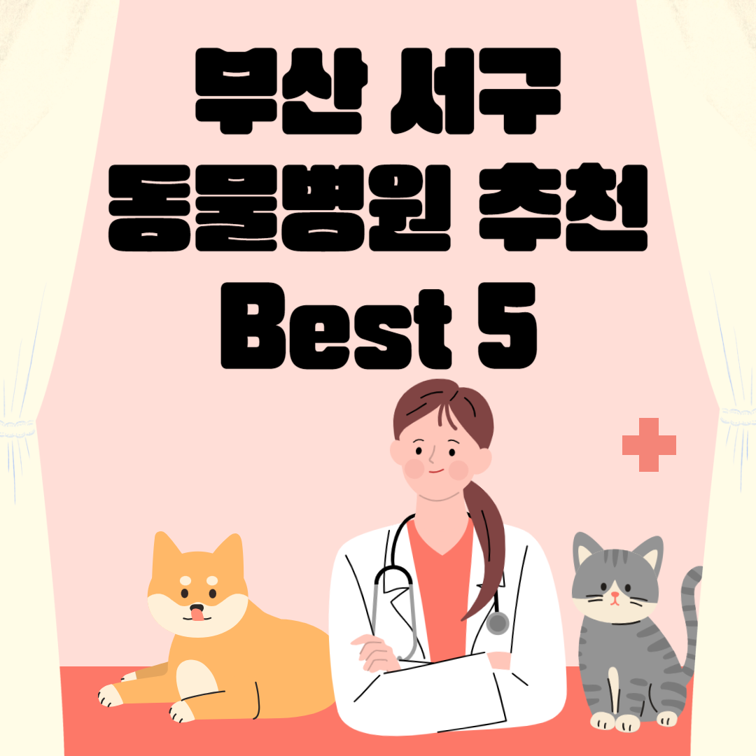 부산 서구 동물병원 추천 Best 5 ㅣ24시간 동물병원ㅣ비용ㅣ반려동물 의료비 지원 50만원 블로그 썸내일 사진