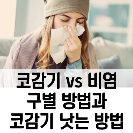  코감기와 알레르기 비염 구별방법 및 코감기 빨리 낫는 방법