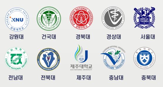  수의사 되는 법, 수의학과 가는 방법