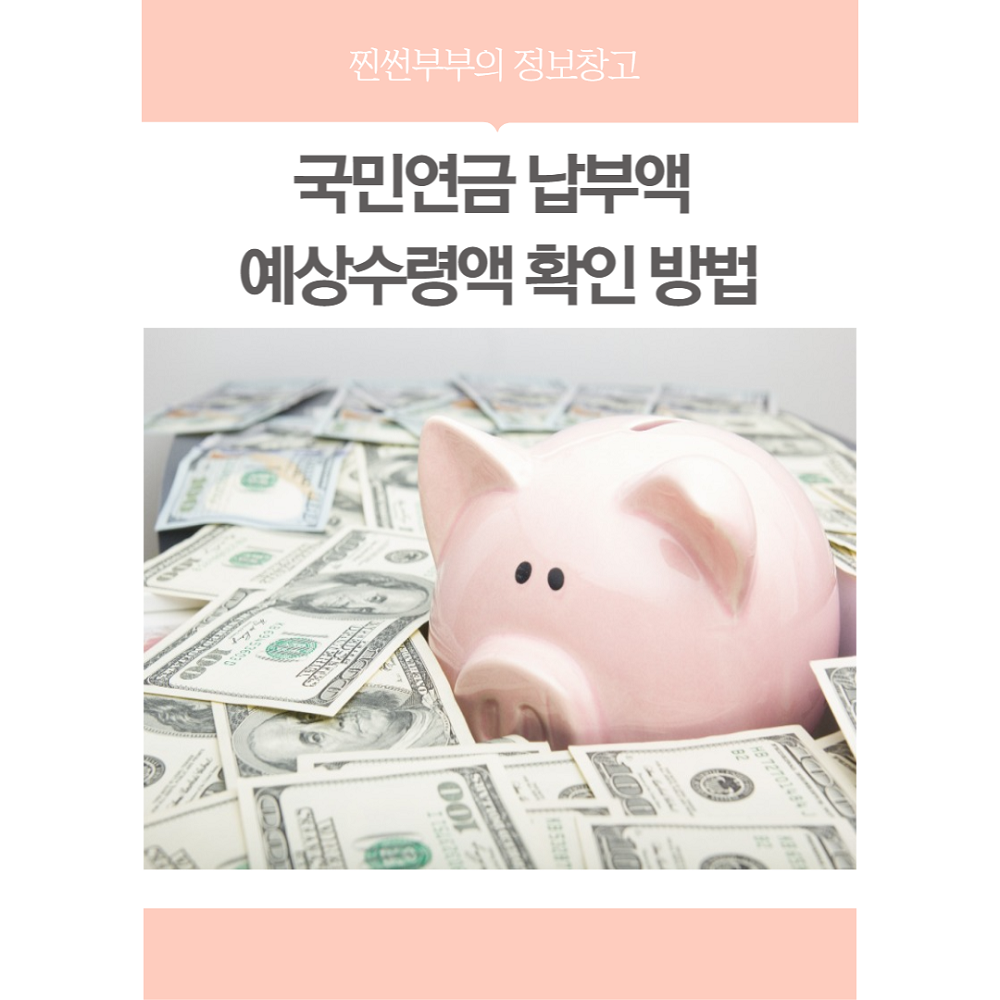 국민연금 납부액 확인 방법