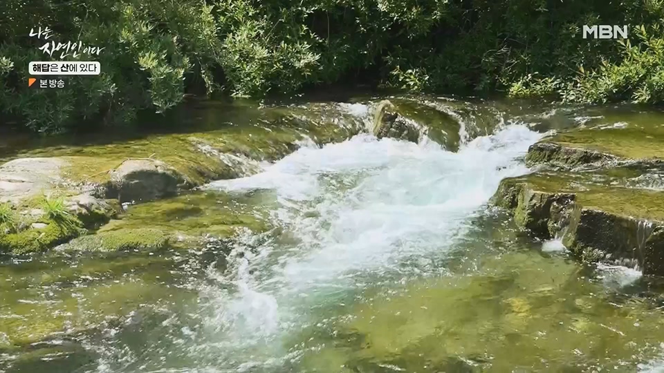 나는 자연인이다.E559.230621p.H264-F1RST.mp4_20230622_204014.351.jpg