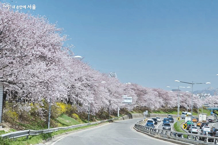 안양천