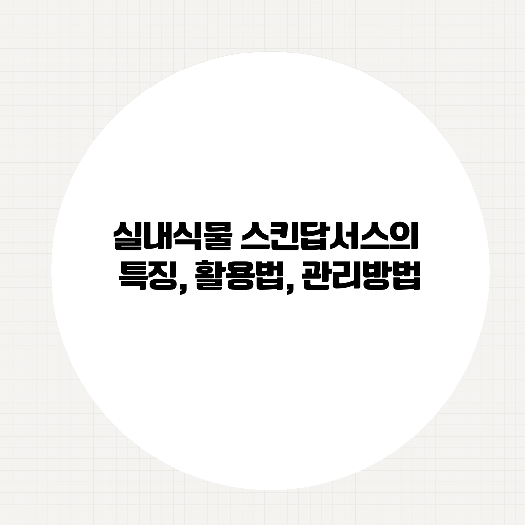 실내식물 스킨답서스