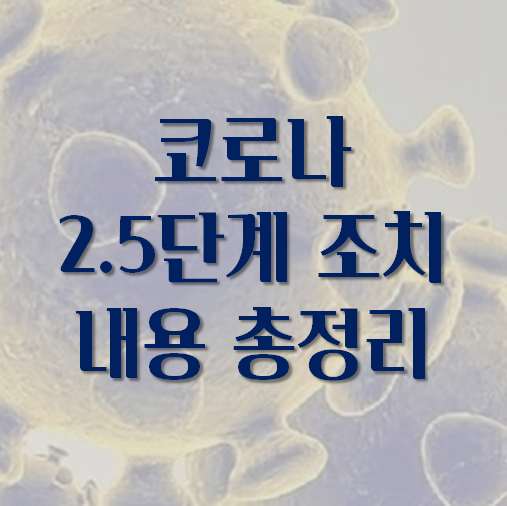  코로나 2.5단계 조치 정리