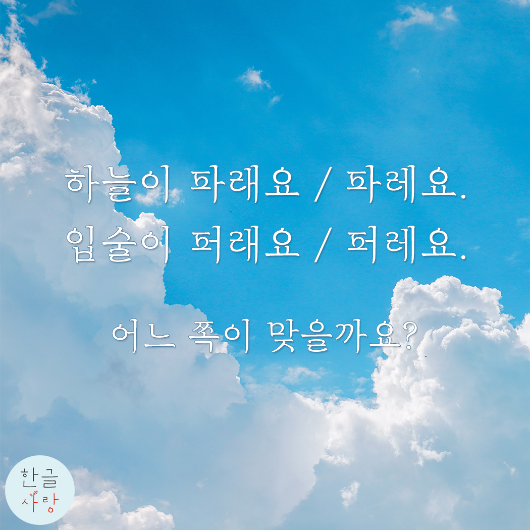  퍼래요가 맞을까요, 퍼레요가 맞을까요?