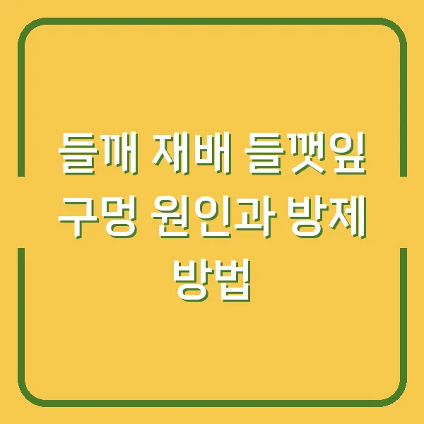 들깨 재배 들깻잎 구멍 원인과 방제 방법