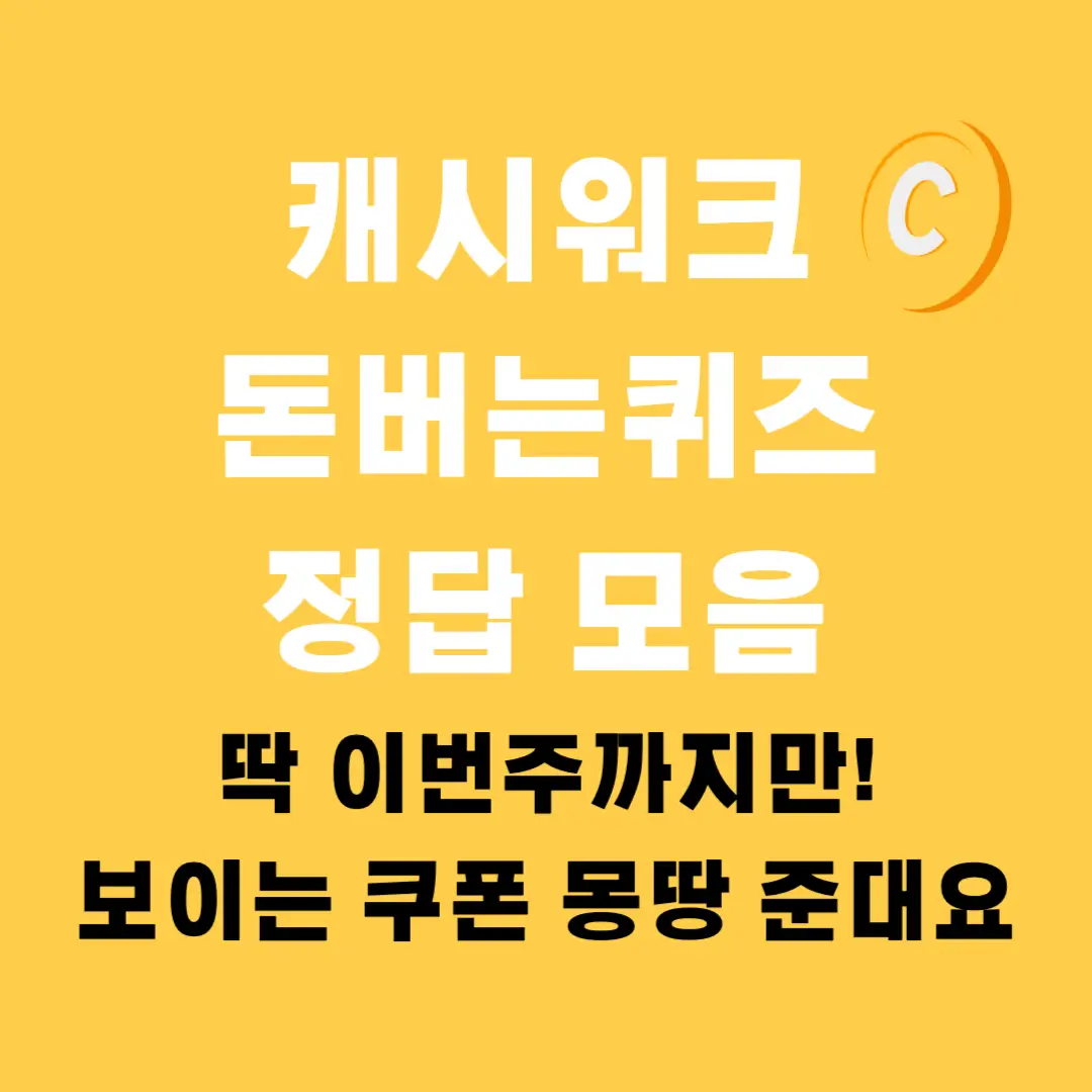 배민-캐시