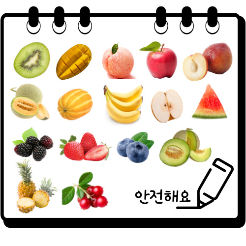 강아지가 먹어도 되는 과일을 보기 쉽게 정리한 그림