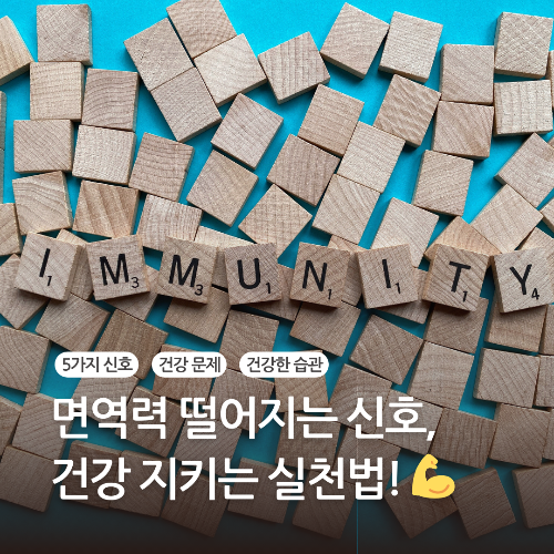 IMMUNITY가 적혀있는 나무블럭