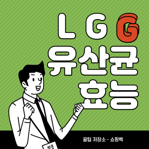 LGG 유산균 추천제품 및 효능